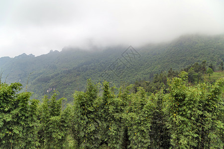 山丘彩雾旅行场地曲线草地阳台热带植物稻田农村环境背景