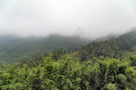 山丘彩雾文化植物旅行阳台地标薄雾农村下雨种植园环境背景