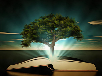 知识树教育出版物天空书店魔法智慧阅读教科书文学墙纸背景图片