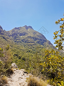 摘自开普敦表山国家公园 图中背景图片