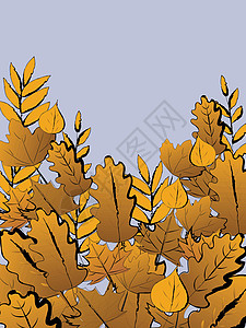 秋叶背景 矢量插图季节棕色叶子社交媒体背景图片