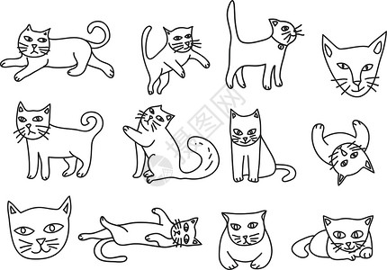 孟买猫可爱猫手画图标矢量设置线条艺术插图插画