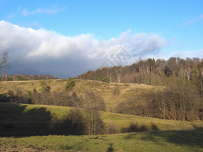 深秋或初冬的风景 有青山 草地 光秃秃的树木和云杉林 蓝天背景 在农村的乡村景观 晴天 复制空间背景