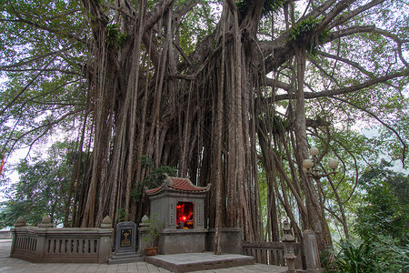 具有越南神庙的巴尼亚人传统树 200多岁高清图片