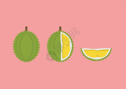 去皮榴莲切块设置在扁平样式植物国王情调水果季节热带插图艺术食物甜点插画