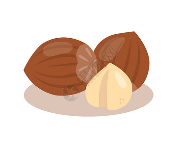 巧克力扁豆孤立在白色背景上的榛子牛奶巧克力味道卡通片叶子维生素核桃矿物质插图食物插画