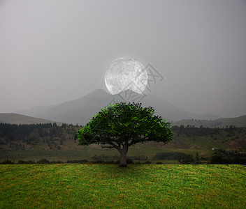 生命树戏剧性天堂叶子外星人3d地球生态月亮渲染天空背景图片