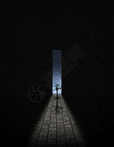 枯枯树孤独黑暗秘密出口地面门户网站精神庇护所隧道天空墙高清图片素材