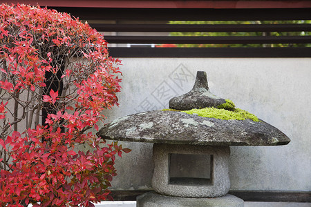 日本 秋色的高山石灯和灌木石头神社文化衬套枫树季节灯笼花园背景图片