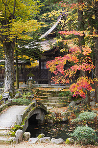 法华寺秋天日本文化高清图片