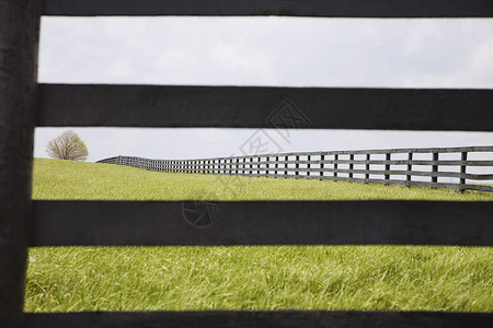 农村分隔田的栅栏田园树木草地风光背景图片