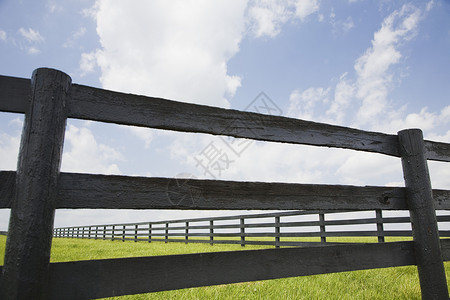 农村分隔田的栅栏草地障碍田园风光背景图片