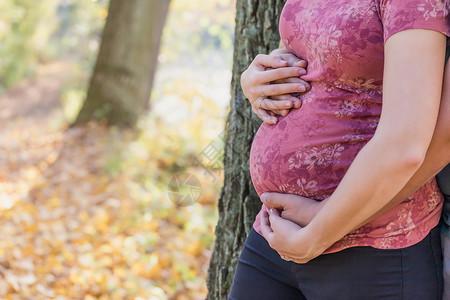 孕妇怀着怀孕的肚子和她的P手上的手美丽的高清图片素材