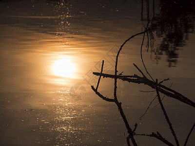 美丽的橙黄色金色紫暮日落 向平静的湖水面反射 黑棍和树晚上高清图片素材