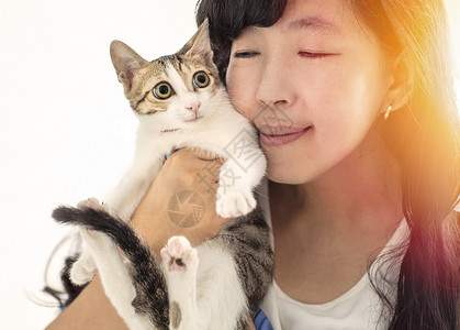 女人抱着可爱的猫咪在家休息成人宠物拥抱微笑毛皮阳光柔软度朋友肩膀女性快乐的高清图片素材