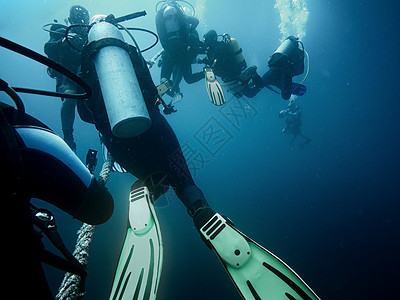 飞翔潜水员升到海面面具闲暇黑色海洋珊瑚装备潜水假期冒险运动背景图片