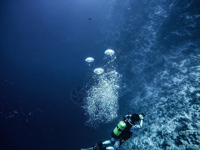滑雪潜水员从下到下齿轮蓝色珊瑚面具黑色闲暇海洋假期装备运动背景图片
