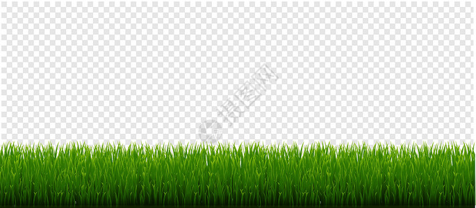 草地边框素材绿草边框和透明背景植物花朵生长花园生态横幅草地艺术草原插图插画