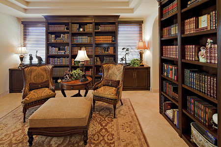 豪华住宅图书馆植物座椅小地毯安乐椅座位场景咖啡窗户房子桌子背景图片