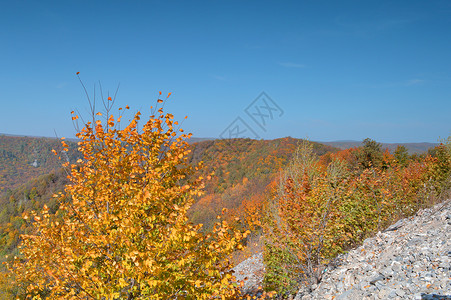 秋季陆地全景公园植物群森林阳光环境山脉天空季节背景图片