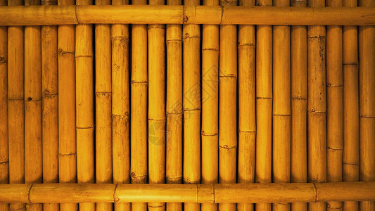 古老的肮脏竹子背景墙 从真实的本质森林风格植物丛林生长黄色圆形正方形木头装饰背景图片