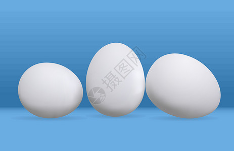 白鸡蛋鸡蛋家禽母鸡白色背景图片