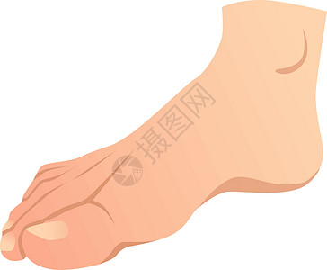 现实的人类脚身体指甲信息图表男性插图背景图片