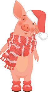 穿围巾和帽子的猪插图卡通片背景图片