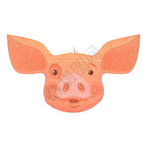 粉红猪头动物插图小猪绘画母猪农场背景图片