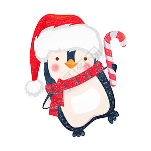 有圣诞糖果的企鹅卡通片动物白色季节绘画糖果传统甘蔗插图背景图片
