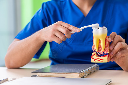 脊椎模型年轻牙医在牙齿模型上练习工作打扫磨牙药品症状学生专家保健治疗牙科诊所背景