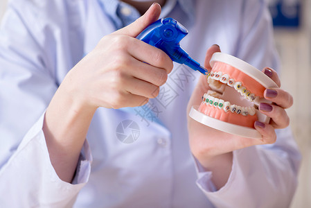 脊椎模型女牙医在牙齿模型上练习工作假牙学生检查诊所治疗磨牙讲师打扫卫生牙科背景