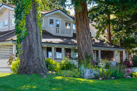 草坪透明素材前面有棵大树的老旧住宅背景