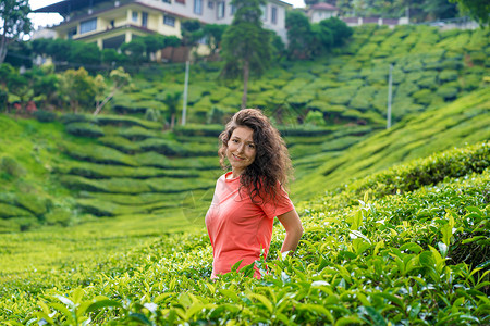 美丽的黑褐色女孩在茶谷中间摆着b场景植物热带环境衬套旅行场地风景土地农田背景图片