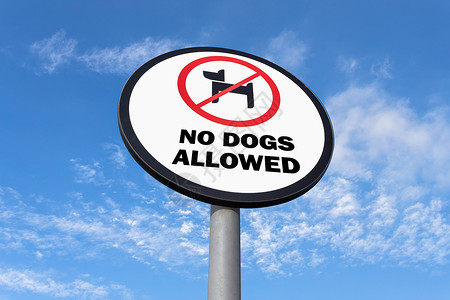 狗标志美好的禁止的高清图片