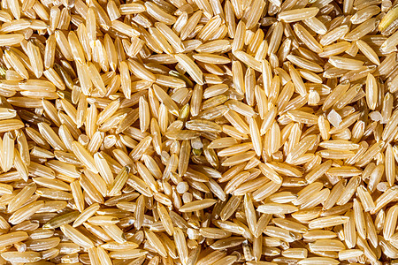 棕色野稻种本底或质地 无食用和健康食品植物栽培种子糖类谷物食物饮食野米荒野营养背景图片