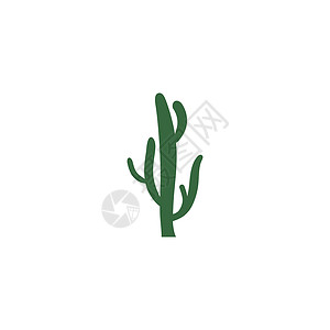 仙人掌图标标志模板沙漠热带花园插图植物夹子绘画艺术绿色肉质背景图片