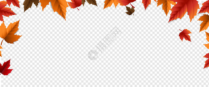 秋天框具有多彩叶透明背景的秋边班纳设计图片