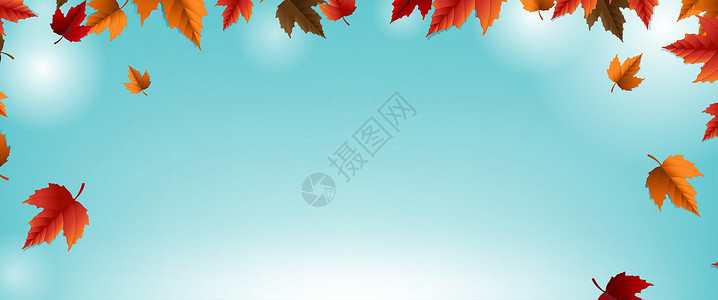 秋天框秋天Banner与多彩叶模糊背景设计图片
