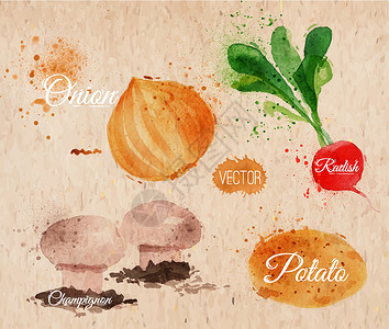 水彩大蒜蔬菜 水彩萝卜 萝卜 洋葱 奶粉设计图片