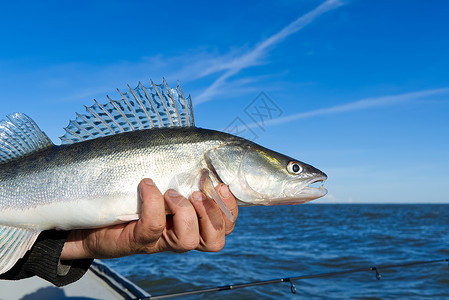赞德男性爱好钓鱼高清图片
