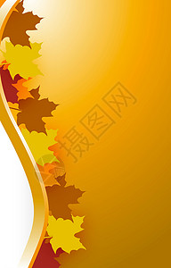 秋季请假背景简介摘要橙子作品边界叶子环境设计植物学显卡框架插图背景图片