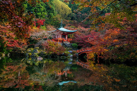 京都盛名大地寺庙 秋红树叶季节宗教红色叶子旅行风景池塘宝塔神社建筑学背景图片