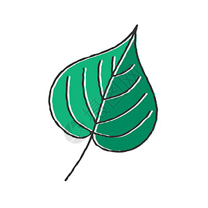 人工绘制植物叶的矢量彩色图示创造力叶子空白库存草图涂鸦植物学主题绘画变体背景图片