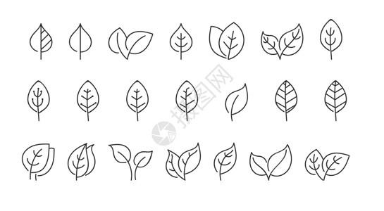 植物涂鸦用于剪贴 涂色 设计和解密的矢量叶设计图片