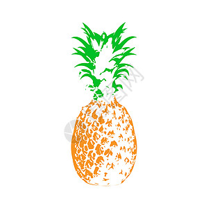 手绘菠萝背景Doodle 风格的菠萝矢量插图 用于主题脱水剪贴簿染色空白水果收成手绘食欲库存异国草图设计图片