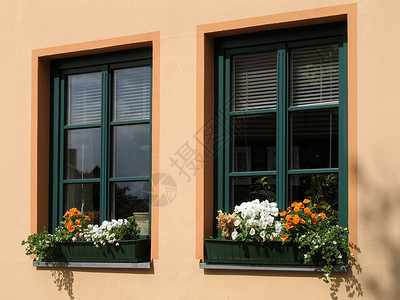 花花窗口橙子装饰建筑玻璃开窗盒植物花卉窗台花箱花窗背景图片
