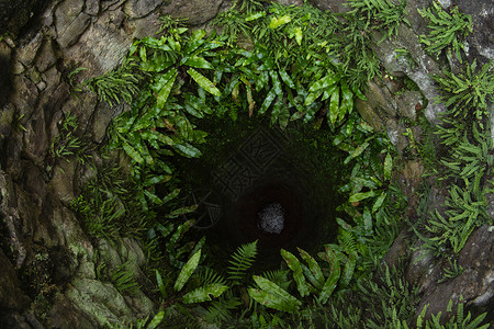被绿叶覆盖的古董井井背景图片