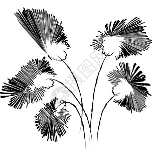 黑色和白色的蓝面花摘要 矢量插图背景图片