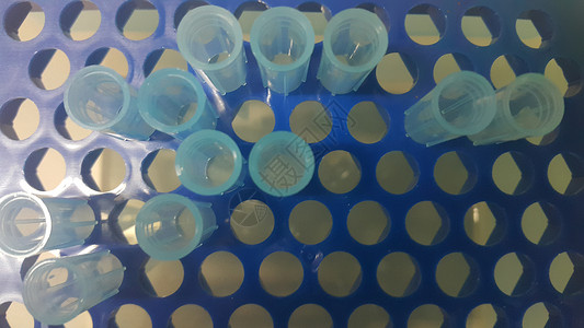 在带有空洞的微滴盒中 特写蓝色微升小提示的视图液体生物学科学微管测序生物生命科学研究员技术器具背景图片